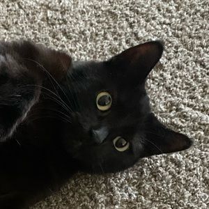 Meet your Posher, Nick